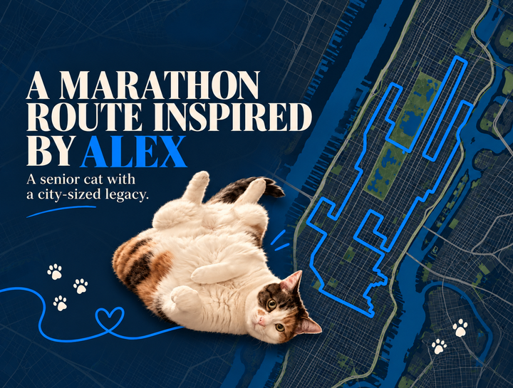 Run With Us: The 13th Annual Senior Cat Rescue Marathon