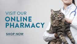 Shop our online vet pharmacy & store